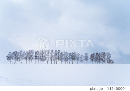 北海道美瑛の丘の雪景色 北海道美瑛の丘の雪景色 112400004