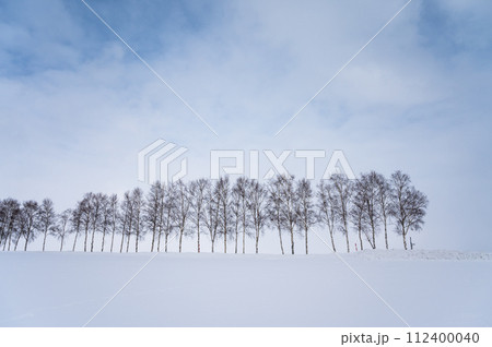 北海道美瑛の丘の雪景色 112400040