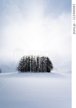北海道美瑛の丘の雪景色 北海道美瑛の丘の雪景色 112400061