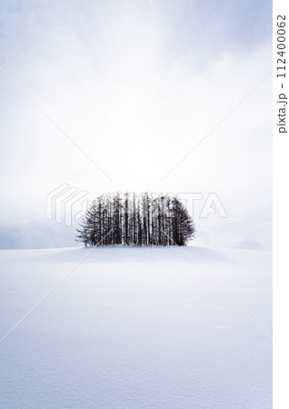 北海道美瑛の丘の雪景色 北海道美瑛の丘の雪景色 112400062