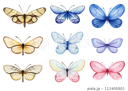 Butterfly isolated Hand painted watercolor Illustration for greeting cards, invitations. Tropical butterflies for design Butterfly isolated Hand painted watercolor Illustration for greeting cards, invitations. Tropical butterflies for design 112400801