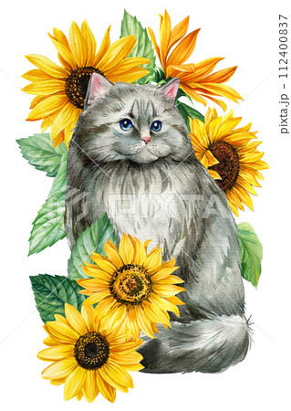 Animal with flower, cat and Sunflower isolated on white background. painting Watercolor hand drawing bright color poster Animal with flower, cat and Sunflower isolated on white background. painting Watercolor hand drawing bright color poster 112400837