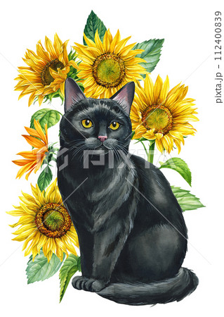 animal with autumn flower, black cat and Sunflower isolated. Watercolor hand drawing poster, design, greeting cards. 112400839