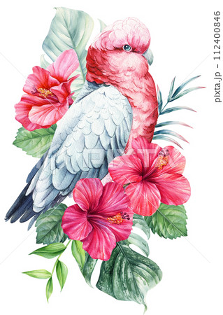 Summer Bird, pink flowers, palm leaves isolated background. Watercolor Watercolor hand-painted, summer clipart. Cockatoo 112400846