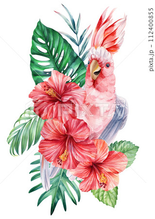 Parrot, flowers and palm leaves. Hibiscus, pink cockatoo isolated white background. Watercolor hand drawing painting 112400855