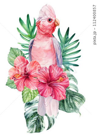 Parrot, flowers and palm leaves. Hibiscus, pink cockatoo isolated white background. Watercolor hand drawing painting 112400857
