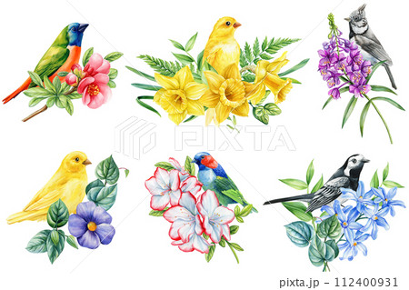 set of spring birds and flowers isolated on white background. Watercolor hand drawing Botanical painting 112400931