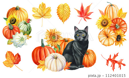 Watercolor painting black cat, autumn leaves and pumpkin, animal art, drawing illustration, cute kitten card halloween 112401015