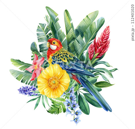 Tropical Bird, flowers, leaves and green plants watercolor drawing illustration. Exotic wildlife design. Rosella parrot Tropical Bird, flowers, leaves and green plants watercolor drawing illustration. Exotic wildlife design. Rosella parrot 112401020