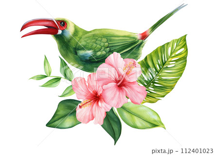 Tropical cute bird, flower watercolor isolated, beautiful summer drawing, Exotic flora design, Green toucan illustration 112401023