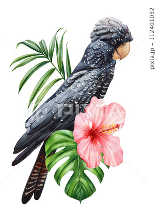 Tropical bird, flower watercolor isolated, bird summer nature drawing, Exotic flora design, parrot cockatoo illustration 112401032