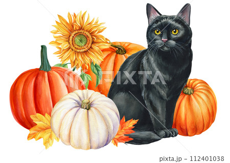 Watercolor painting black cat, autumn leaves and pumpkin, animal art, drawing illustration, cute kitten card halloween 112401038