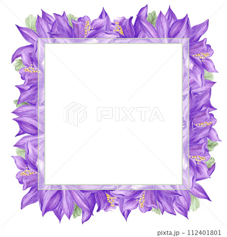 Hand drawn watercolor purple aquilegia flowers frame border isolated on white background. Can be used for cards, label, invitation and other printed products. Hand drawn watercolor purple aquilegia flowers frame border isolated on white background. Can be used for cards, label, invitation and other printed products. 112401801