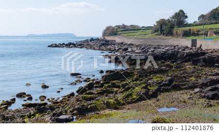 玄武岩　早崎半島 112401876