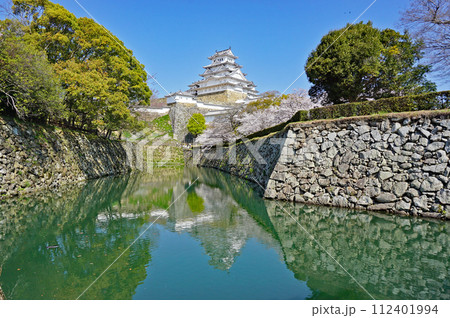 世界遺産 姫路城と美しい満開の桜, 姫路, 兵庫県, 日本 112401994