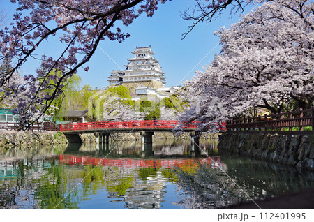 世界遺産 姫路城と美しい満開の桜, 姫路, 兵庫県, 日本 112401995