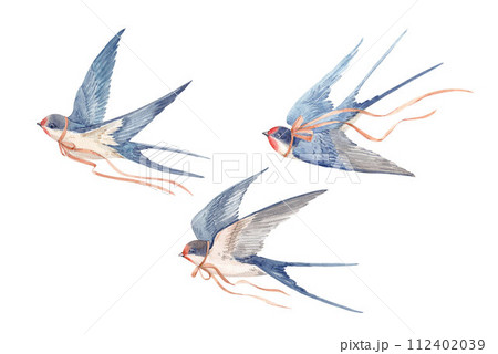 Stock illustration with watercolor hand drawn swallow martin birds. Clip art. 112402039