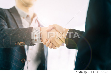 握手をする2人のビジネスマン 112402256