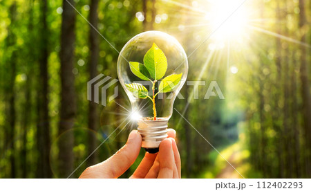Hand Holding a Light Bulb with Small Plant Inside - Generative Ai 112402293