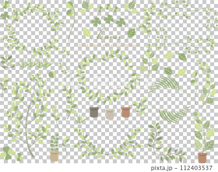 オシャレな植物のイラスト素材 112403537
