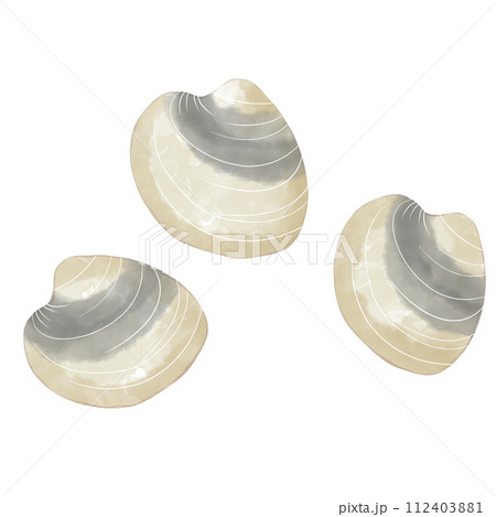 潮干狩りの貝 水彩イラスト 潮干狩りの貝 水彩イラスト 112403881