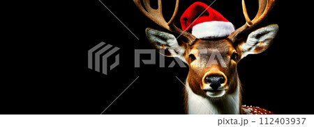 Reindeer Dressed as Santa Claus on a Black Background - Generative Ai 112403937