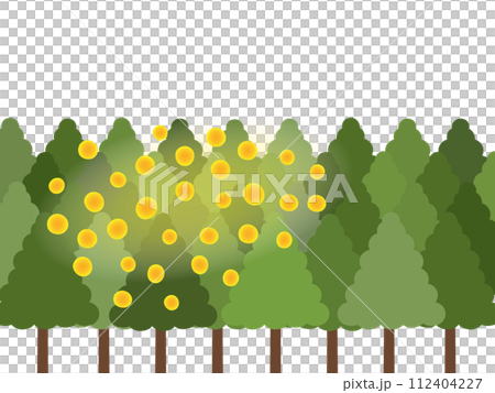 飛散量の多いスギ花粉のイラスト 112404227