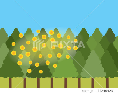 飛散量の多いスギ花粉の風景 112404231