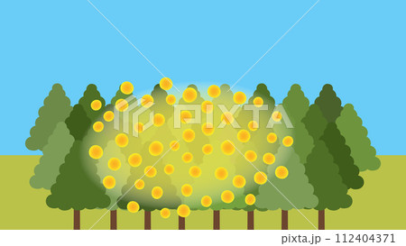 飛散量が非常に多いスギ花粉の風景 112404371