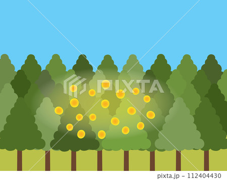 飛散量がやや多いスギ花粉の風景 飛散量がやや多いスギ花粉の風景 112404430