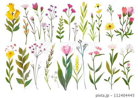 Springtime Florals: Delicate floral clip art depicting blooming flowers, budding branches, Easter season. 112404445