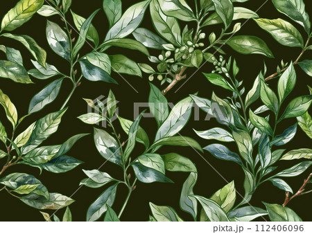 Branch with leaves of green tea. Branch with leaves of green tea. 112406096