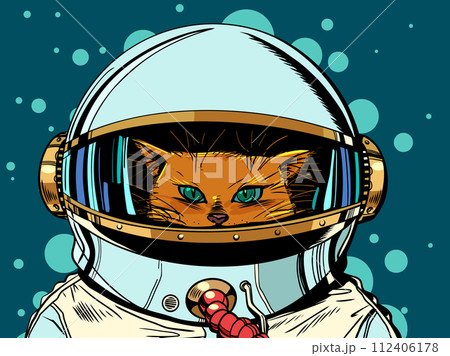 A cat in an astronaut suit is watching. Space research and experiments of the future. Galactic promotions in the pet store. 112406178
