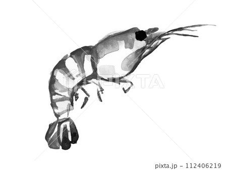 エビが跳ねている和風手描きイラスト 112406219