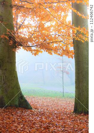 Beautiful park in bright autumnal colors 112406742