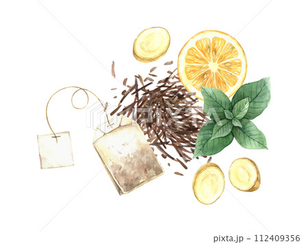 Watercolor tea composition of dry tea, mint, tea bag, ginger and lemon wedge. Illustration hand drawn on isolated background, suitable for menu design, packaging, poster, website, textile, invitation. 112409356