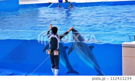 沖縄美ら海水族館イルカショー オキちゃん劇場 沖縄美ら海水族館イルカショー オキちゃん劇場 112411234