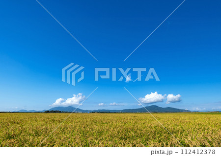 【新潟県】越後平野の水田と弥彦山・角田山。黄金色に輝く越後田園の秋 【新潟県】越後平野の水田と弥彦山・角田山。黄金色に輝く越後田園の秋 112412378