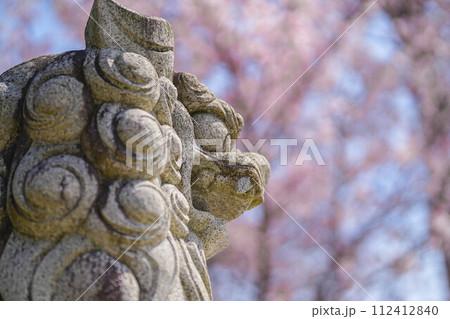 小川諏訪神社の枝垂れ桜 小川諏訪神社の枝垂れ桜 112412840