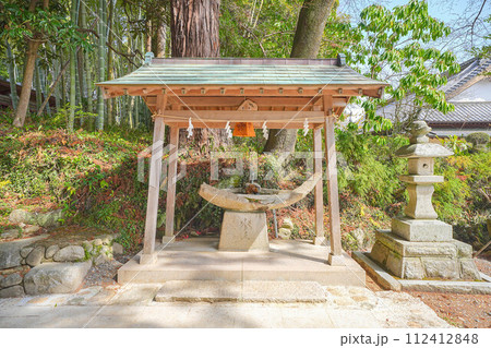 小川諏訪神社の枝垂れ桜 小川諏訪神社の枝垂れ桜 112412848