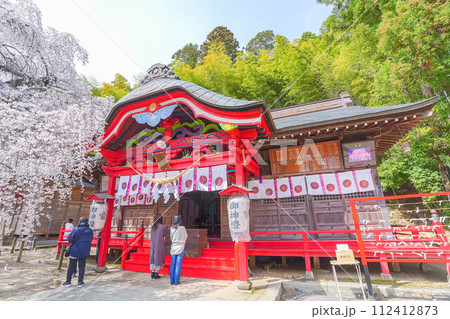 小川諏訪神社の枝垂れ桜 小川諏訪神社の枝垂れ桜 112412873