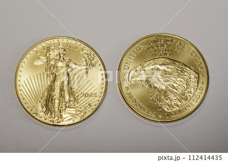 イーグル金貨二枚 112414435