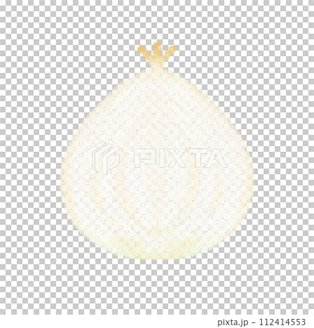 可愛的洋蔥圖橫截面 112414553