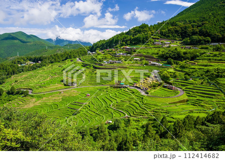 田植えを終えた丸山千枚田 112414682