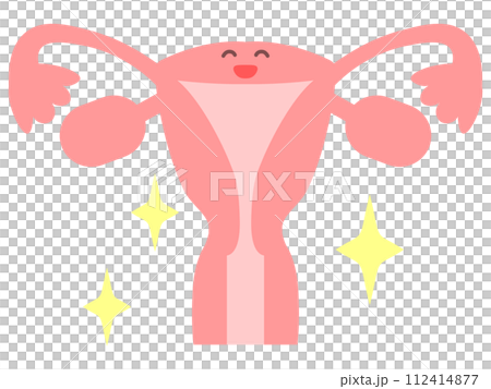 健康子宮的圖像圖 健康子宮的圖像圖 112414877