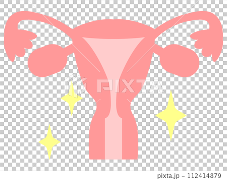Image diagram of a healthy uterus Image diagram of a healthy uterus 112414879