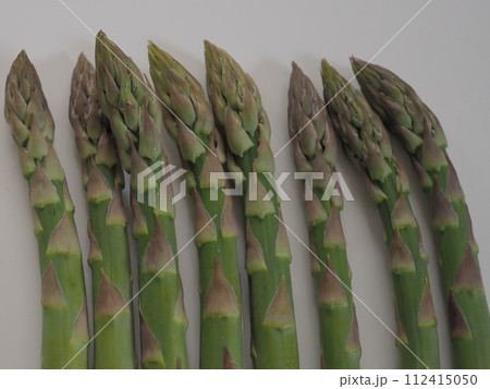 グリーンアスパラガス（数本・白背景） 112415050