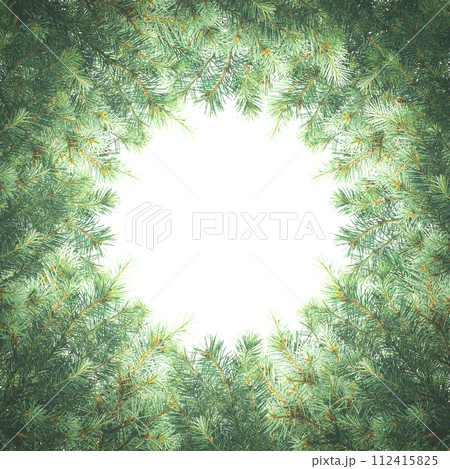 Christmas background with fir branches. Christmas border, pine, evergreen frame. Holiday. garland Christmas background with fir branches. Christmas border, pine, evergreen frame. Holiday. garland 112415825