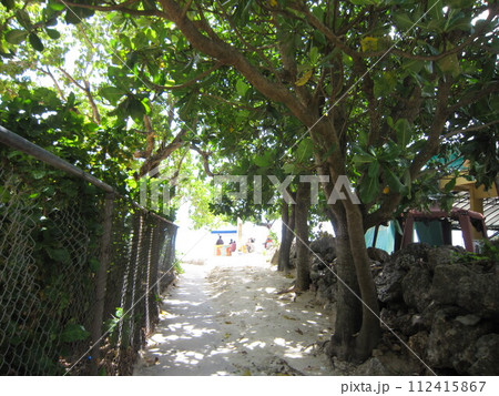 ビーチへ続く緑のトンネル 112415867