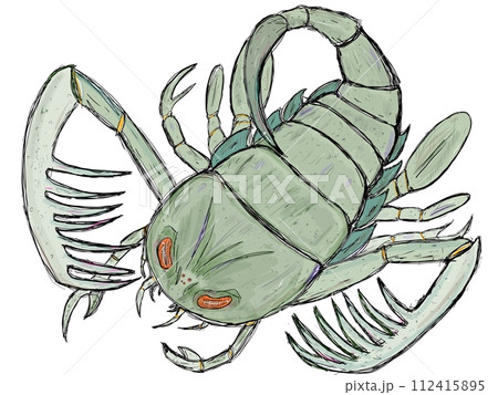 ウミサソリのイラスト ウミサソリのイラスト 112415895